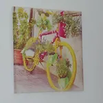 Dreams Room